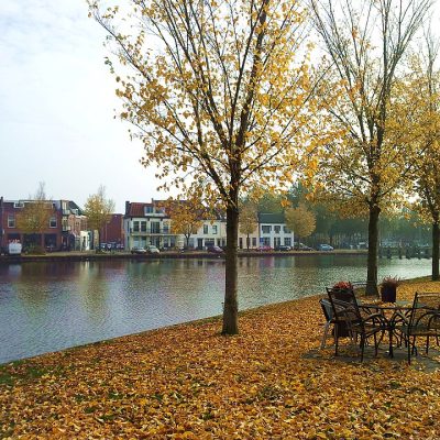 Dakdekker Purmerend